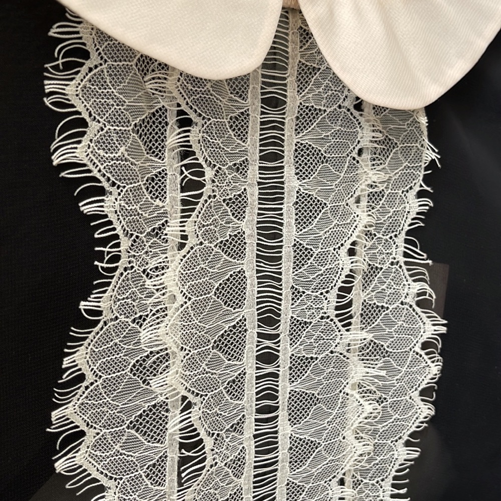 Romeo & Juliet Couture Sheer Blouse - Picture 5 of 12